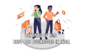 B2C eCommerce Benefits and Best B2C Businesses in India